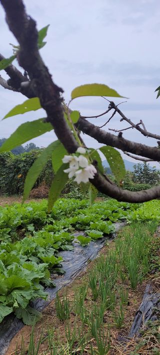 박정희 님의 자유주제 · 자유게시판 작성글 사진
