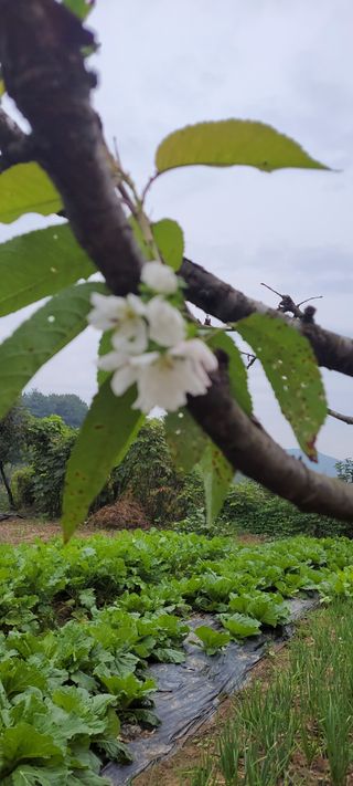 박정희 님의 자유주제 · 자유게시판 작성글 사진