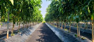 정진해님의 자유주제 · 자유게시판 작성글 사진