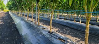 정진해님의 자유주제 · 자유게시판 작성글 사진