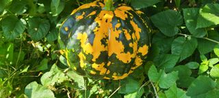 정진해님의 자유주제 · 사진전 작성글 사진