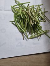 팜모닝 고추·영농일지 게시글 이미지