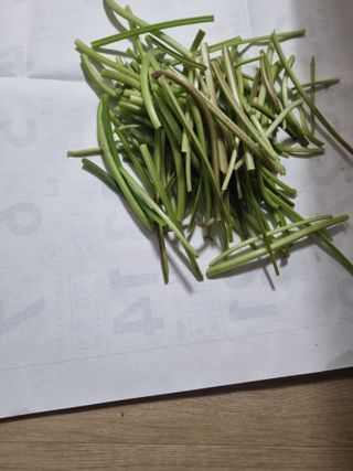 이대팔님의 고추 · 영농일지 작성글 사진