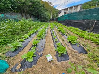 알 수 없음님의 기타작물 · 영농일지 작성글 사진