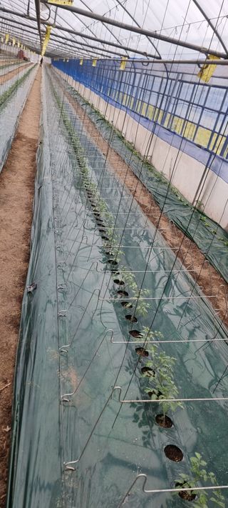 멋쟁이 아낙네 ^^님의 농기구 관리법을 공유해주세요·참여글 작성글 사진