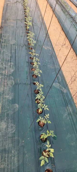 멋쟁이 아낙네 ^^님의 농기구 관리법을 공유해주세요 · 참여글 작성글 사진