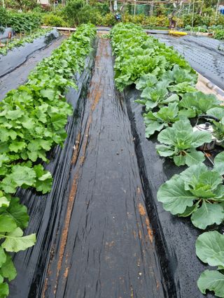 류수천님의 자유주제 · 자유게시판 작성글 사진