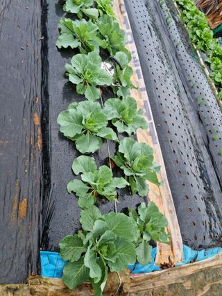 류수천님의 자유주제 · 자유게시판 작성글 사진