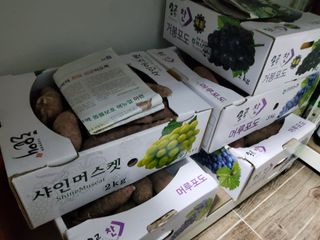 연모 자연의행복님의 자유주제 · 자유게시판 작성글 사진