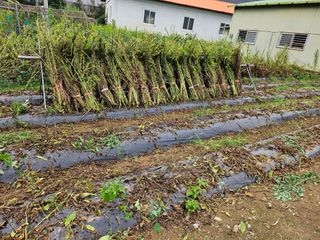 이은상님의 작성글 사진