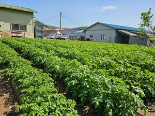 이은상님의 작성글 사진