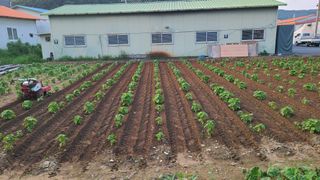 이은상님의 작성글 사진