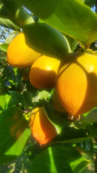 복주농장님의 자유주제 · 자유게시판 작성글 사진