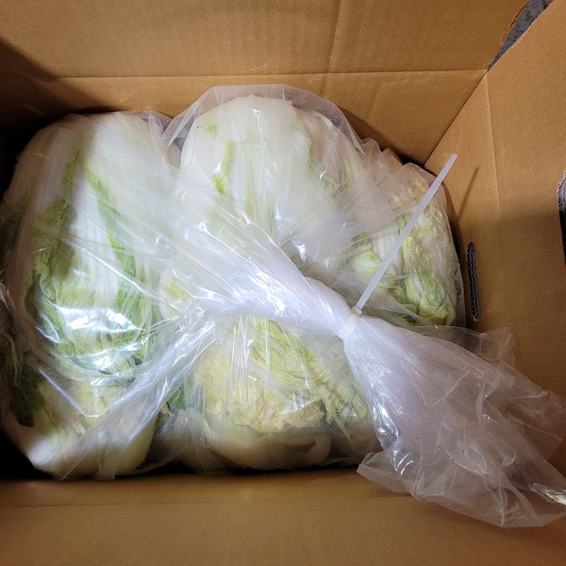 산들해 농장님의 장터 판매 상품 [스테비아 절임배추 20kg ] 첨부 사진