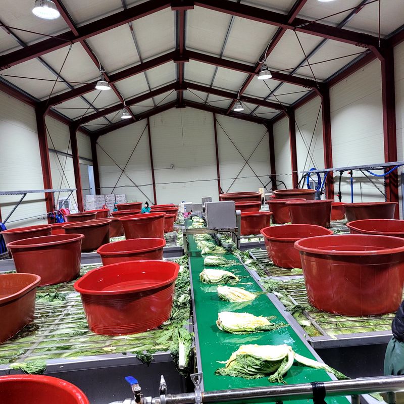 산들해 농장님의 장터 판매 상품 [스테비아 절임배추 20kg ] 첨부 사진