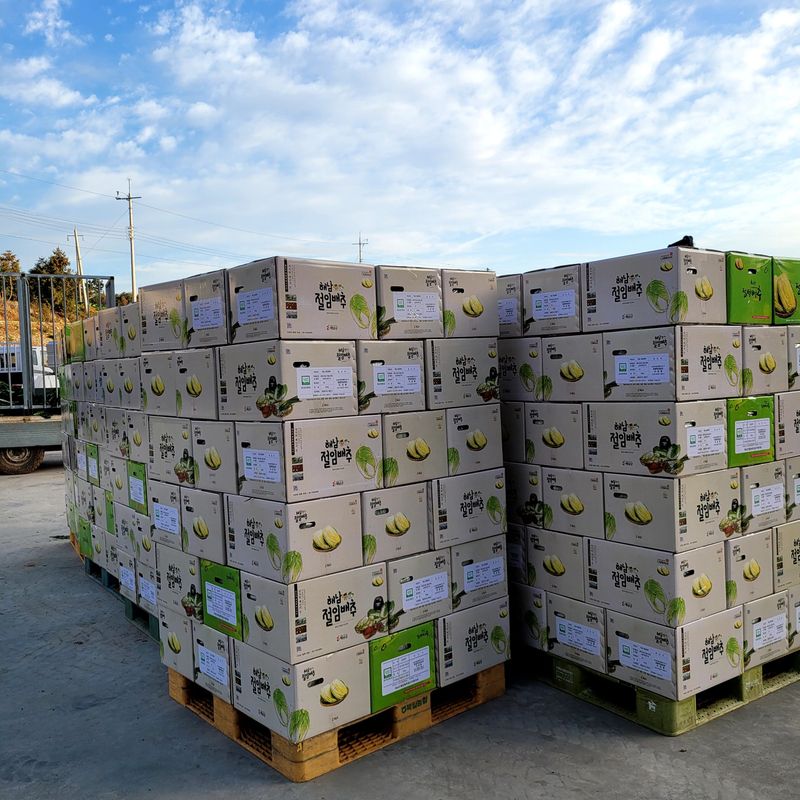 산들해 농장님의 장터 판매 상품 [스테비아 절임배추 20kg ] 첨부 사진