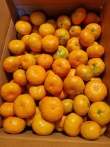 팜모닝 · 게시글 이미지