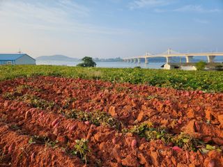 무안선유농원님의 자유주제 · 사진전 작성글 사진