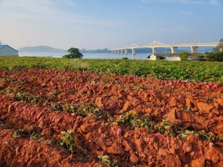 무안선유농원님의 자유주제 · 사진전 작성글 사진