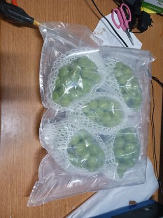 오이13686님의 포도 · 영농일지 작성글 사진