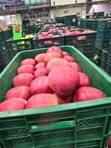 팜모닝 자유주제·자유게시판 게시글 이미지