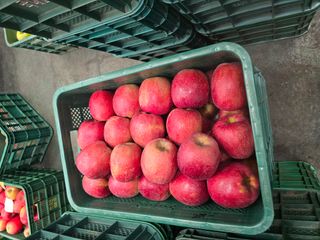 김남식님의 자유주제 · 자유게시판 작성글 사진