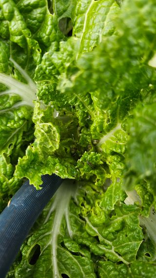 문해님의 자유주제 · 자유게시판 작성글 사진