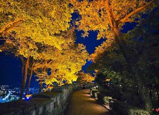 울금박사/빈덕열목사님의 자유주제 · 자유게시판 작성글 사진