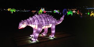 울금박사/빈덕열목사님의 자유주제 · 자유게시판 작성글 사진