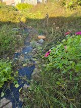 팜모닝 자유주제·자유게시판 게시글 이미지