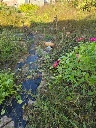 임기억님의 자유주제 · 자유게시판 작성글 사진