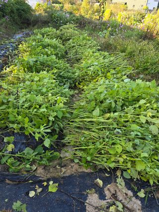 임기억님의 자유주제 · 자유게시판 작성글 사진