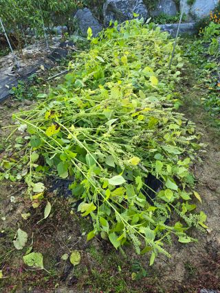 임기억님의 자유주제 · 자유게시판 작성글 사진