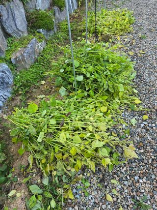 임기억님의 자유주제 · 자유게시판 작성글 사진