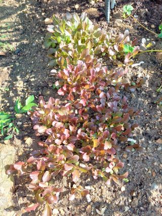 기쁨님의 자유주제 · 칭찬해요 작성글 사진