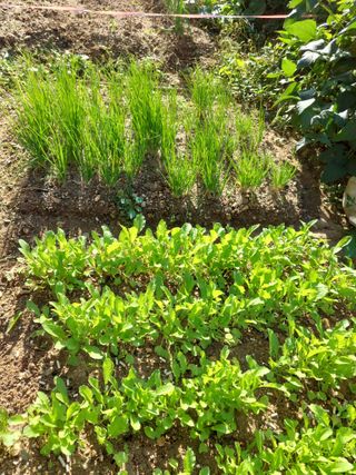 기쁨님의 자유주제 · 칭찬해요 작성글 사진