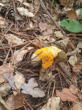 김철원,바람산인님의 자유주제 · 자유게시판 작성글 사진