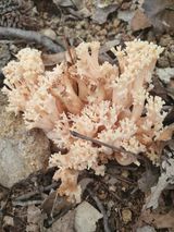 팜모닝 자유주제·자유게시판 게시글 이미지