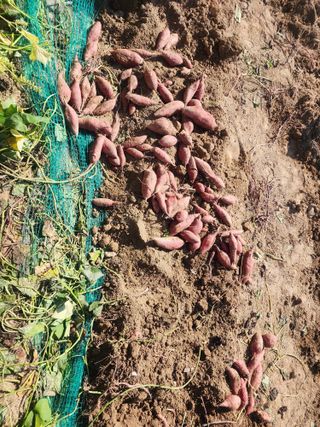 김학용님의 자유주제 · 자유게시판 작성글 사진