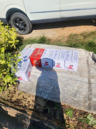 김학용님의 자유주제 · 자유게시판 작성글 사진