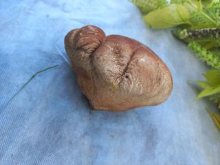 희야님의 자유주제 · 자유게시판 작성글 사진