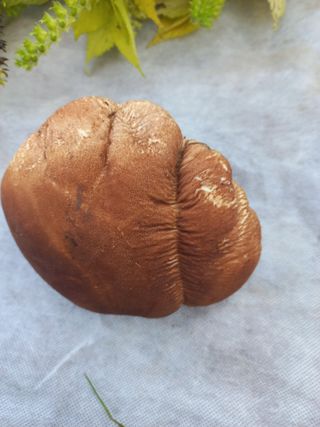 희야님의 자유주제 · 자유게시판 작성글 사진