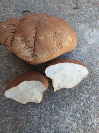 희야님의 자유주제 · 자유게시판 작성글 사진