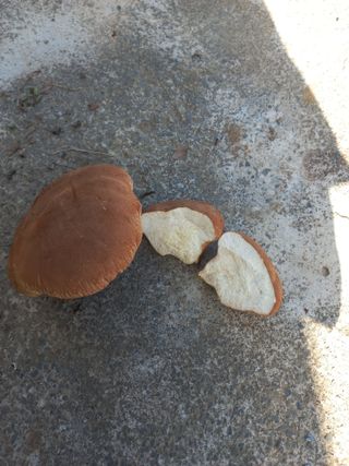 희야님의 자유주제 · 자유게시판 작성글 사진