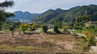 대파17939님의 [팜춘문예] 짧은 시 쓰기| 2024 · 참여글 작성글 사진