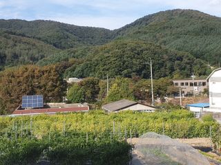 이현옥농부님의 [팜춘문예] 짧은 시 쓰기| 2024 · 참여글 작성글 사진