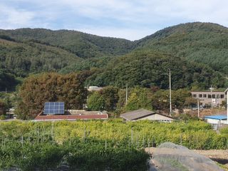 이현옥농부님의 [팜춘문예] 짧은 시 쓰기| 2024 · 참여글 작성글 사진