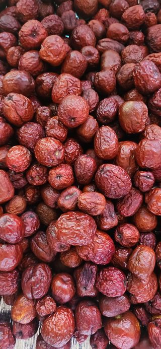 달빛님의 [팜춘문예] 짧은 시 쓰기| 2024 · 참여글 작성글 사진