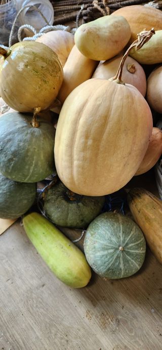 달빛님의 [팜춘문예] 짧은 시 쓰기| 2024 · 참여글 작성글 사진