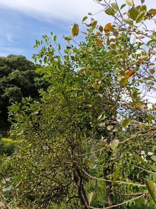 박도순님의 [팜춘문예] 짧은 시 쓰기| 2024 · 참여글 작성글 사진